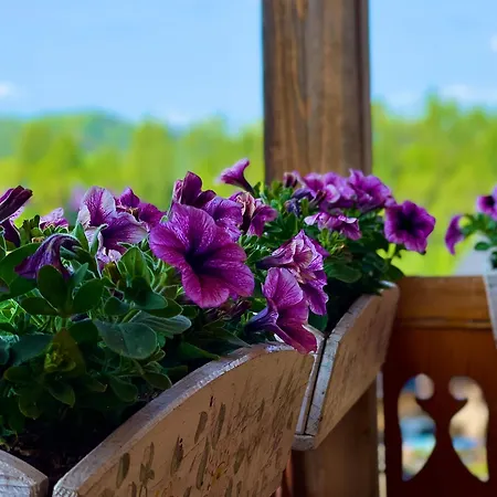 Zawadowka Daire Szczawnica